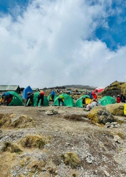 9-days-lemosho-route-with-crater-overnight_ZlHtc