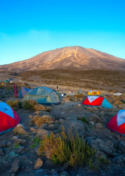 SIMBA CAMP