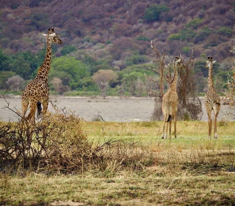 lake manyara 3