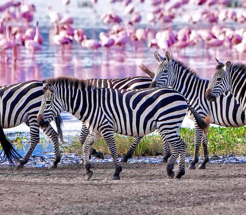 lake manyara
