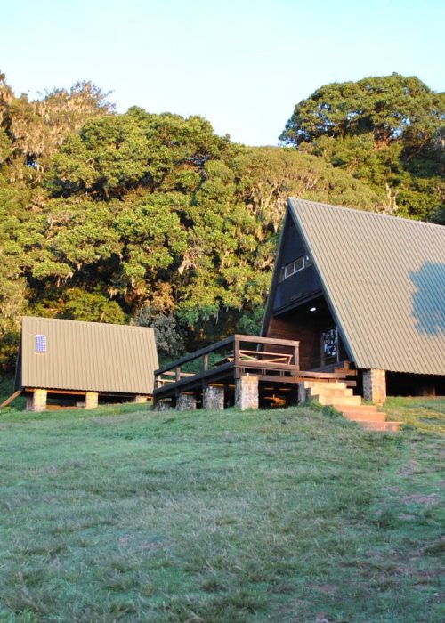 mandara hut new